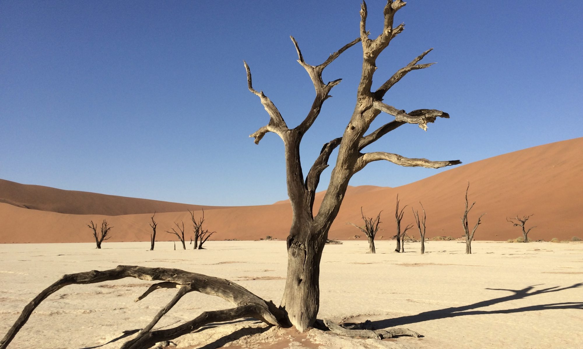 Deadvlei